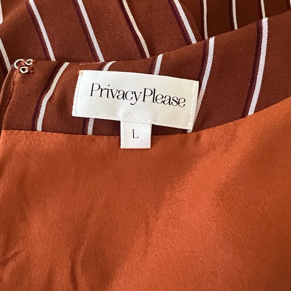 Privacy Please Curtis Mini Dress in Tan Stripe - Picture 13 of 15